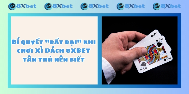 Bí quyết "bất bại" khi chơi Xì Dách 8XBET tân thủ nên biết