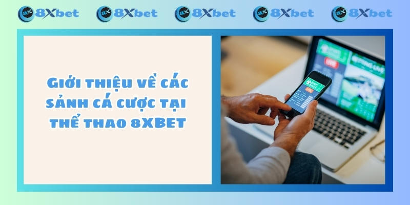 Giới thiệu về các sảnh cá cược tại thể thao 8XBET