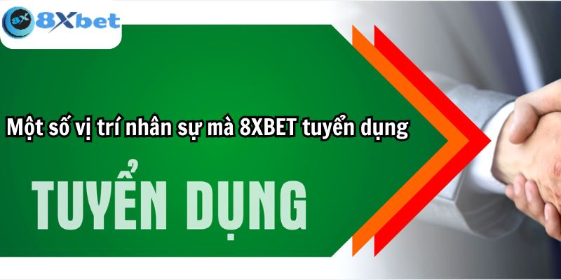 Một số vị trí nhân sự mà 8XBET tuyển dụng